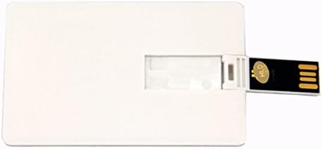 KLD Pack 10 (2GB, Wafer USB Bussiness Card Flash Drive Blank DIY Memory Stick Wholesale Bulk White)