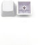OEM Profile White Blank Keycaps, PBT Material 1U R4 for MX Switches Mechanical Keyboard (White, 100pcs)