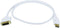 Monoprice 3ft 28AWG DisplayPort to DVI Cable, White
