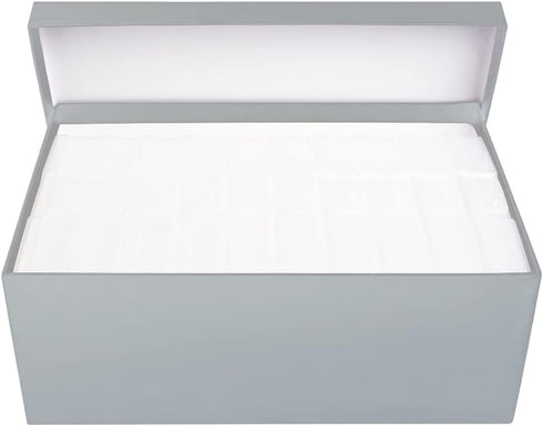 novelinks 4" x 6" Photo Storage Box, 10 Inner Picture Storage Containers, Photo Organizer Case for Craft Keeper (White)