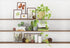 CSFOTO 10x7ft Modern Living Room Backdrop Green Plant Bookcase Office Zoom Backdrop for Video Conference Zoom Screen