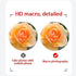 Mobile Phone Wide-Angle Lens 0.45X Mobile Phone Camera Lens Kit Macro Lens 12.5X Universal for iPhone Android