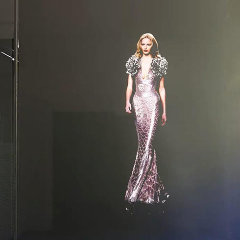 SW 8.3"x11.7" Rear Projector Film Adhesive Holographic Projection Film for Home Cinema and Office Presentation, Clear