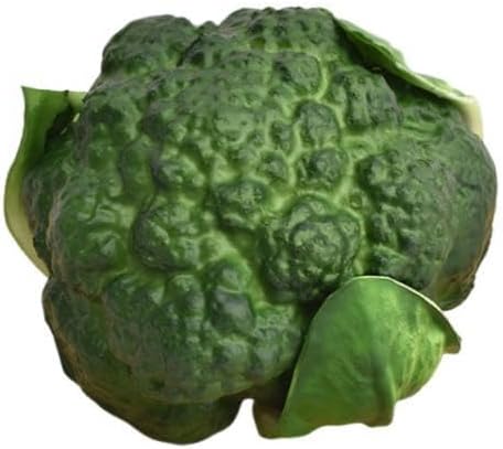 Generic Broccoli, Artificial Vegetable, Photo Prop, Simulation, Broccoli, Vegetable Model for The Kitchen,
