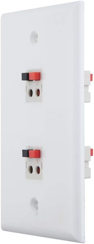 TENINYU 2 Port Speaker Jack Module Keystone Wall Plate for Home Theater - White (Single Gang, 2-Port)
