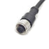 M12 4 Pins Male to Female Connector Cable, A Code Straight Molding Cable for Sensor Electrical PVC Cable 250V 4A
