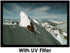 Vivitar Uv 37MM Filter