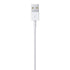 (1 (MXLY2ZM/A) Apple Lightning to USB Cable m)