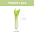 BESTOYARD Lifelike Fake Celery Model - PU Artificial Vegetable for Home Decor Photography Props and Display - Realistic