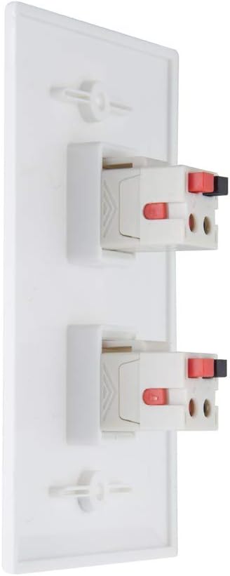 TENINYU 2 Port Speaker Jack Module Keystone Wall Plate for Home Theater - White (Single Gang, 2-Port)