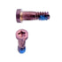 MMOBIEL Complete Full Screw Set for iPhone 11 6.1 Inch with 2 of each Pentalobe Screw Color Incl. 4 Screwdrivers