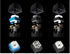 Romer-G Mechanical Keyboard Switches Compatible for Logitech G310 G512 G513 K840 G613 G810 G910 G413 Pro Keyboards (ROMER-G TACTILE BLUE)