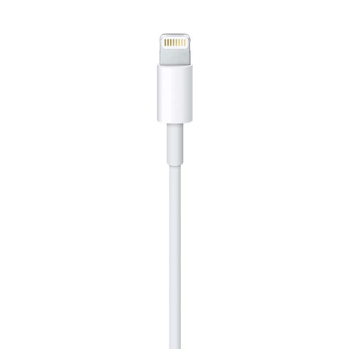 (1 (MXLY2ZM/A) Apple Lightning to USB Cable m)