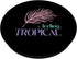 Feeling Tropical Palm Leaf Summer Vibes Beach PopSockets Standard PopGrip for Phone