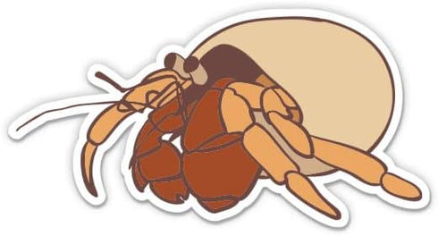 Sticker Mine Hermit Crab Sticker - 3" Laptop Sticker - Waterproof Vinyl for Car,