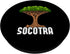 Dracaena Tree Socotra Island Yemen Dragon`s Blood Tree PopSockets Standard PopGrip