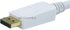 Monoprice 3ft 28AWG DisplayPort to DVI Cable, White