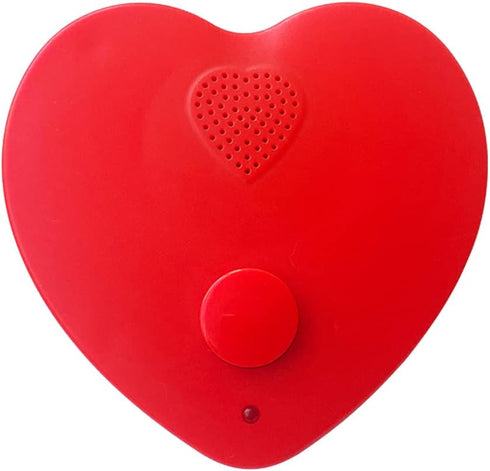 JRGKJCP Voice Recorder for Stuffed Animal, 5min Personal Voice Message Recordable Sound Recorder
