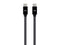 Monoprice Charge and Sync Type-C to Type-C Cable - 6 Feet - Black, USB 2.0, Fast Charging, Up to 5A/100W