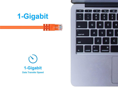 Monoprice Cat6 Ethernet Patch Cable, Snagless RJ45, 2 Feet, Orange, 550MHz, 24AWG