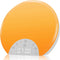 ANTDALIS Sunrise Alarm Clock Wake Up Light for Kids, Adults, Heavy Sleepers with
