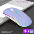 Wireless Bluetooth Mouse, LED Dual Mode Rechargeable Slim Silent Mouse, Portable (BT5.2+USB Receiver) for Laptop,