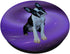 Cute Boston Terrier Prize Idea - I Love My Boston Terrier PopSockets Swappable PopGrip