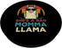 Bad Momma Llama Retro Alpaca Mothers Day Mom Mama Women PopSockets Standard PopGrip
