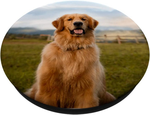 Golden Retriever Cute Dog Pet Animal PopSockets Swappable PopGrip