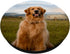 Golden Retriever Cute Dog Pet Animal PopSockets Swappable PopGrip