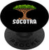 Dracaena Tree Socotra Island Yemen Dragon`s Blood Tree PopSockets Standard PopGrip