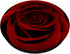 Red Rose Floral Flower PopSockets Standard PopGrip