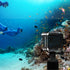 Dive Case/Waterproof Case for GoPro Hero11 Mini Black - 30M Underwater Filming Accessory with Bracket and Screws
