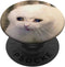 Crying Cat Meme - PopSockets Swappable Grip for Phones & Tablets