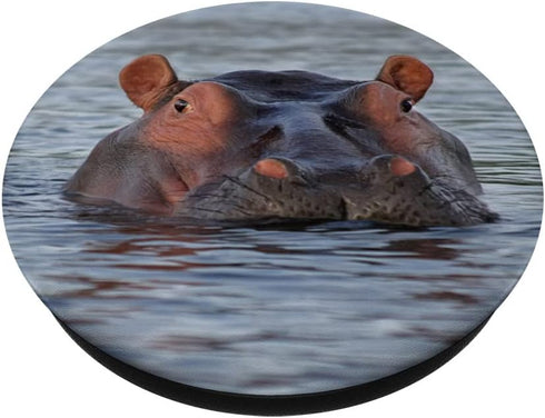 Hippo Hippopotamus Animal Swappable PopSockets PopGrip