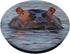Hippo Hippopotamus Animal Swappable PopSockets PopGrip