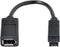 JSER IEEE 1394 6Pin Female to 1394b 9Pin Male Firewire 400 to 800 Cable, 20cm, 6 Feet