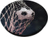 Soccer Ball Sport Soccer Player Lover PopSockets Standard PopGrip