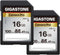 Gigastone 16GB SDHC Memory Card, Pro Series, Pack of 2, Speed up to 100MB/s, Compatible with Canon, Nikon, Sony