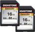 Gigastone 16GB SDHC Memory Card, Pro Series, Pack of 2, Speed up to 100MB/s, Compatible with Canon, Nikon, Sony