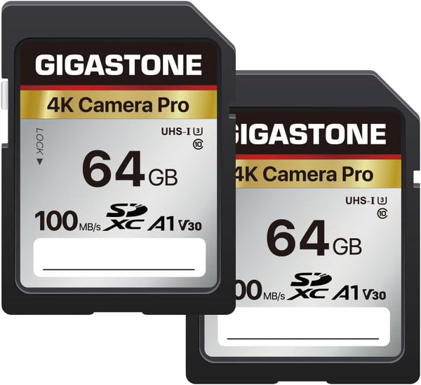 Gigastone 64GB 2-Pack SD Card V30 SDXC Memory Card for 4K Ultra HD Video, with 2 Mini Cases