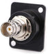 Toronce BNC D Series Panel-Mount Connector, D-BNC Pass-Through Connector (BNC_5Pack)