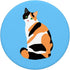 Calico Cat Drawing PopSockets PopGrip: Swappable Grip for Calico Lovers & Gifts