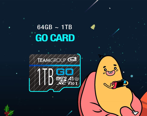 TEAMGROUP GO 128GB x 2 PACK Micro SDXC UHS-I U3 V30 for GoPro & Action Cameras, High Speed with Adapter