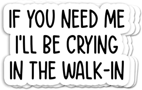 Momo Gifts (3pcs) I'll Be Crying in The Walk-in Sticker - Funny Server Quotes
