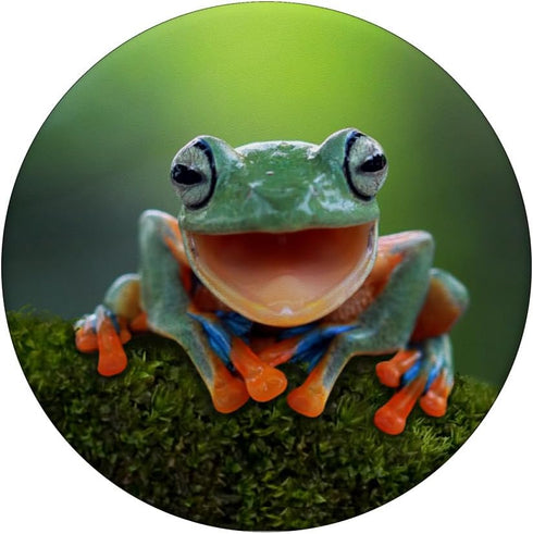 Frog Fun PopSocket: Green Frog Gift PopGrip for Phones & Tablets, Swappable Top, Adhesive Mount