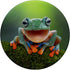 Frog Fun PopSocket: Green Frog Gift PopGrip for Phones & Tablets, Swappable Top, Adhesive Mount