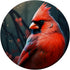 Cardinal Bird PopSockets Standard PopGrip for Phone Accessories
