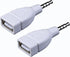 WAGHAVEN 3.5mm 2.0 MP3 Sound Converters Male AUXs to USB Female Converters Adapter for Car Speakers and Players