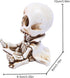 Cute Meditating Skull Dashboard Phone Holder for Car, Car Phone Mount, Skull Car Interior Accessories, Home Office